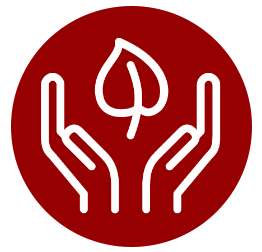 staff-transport