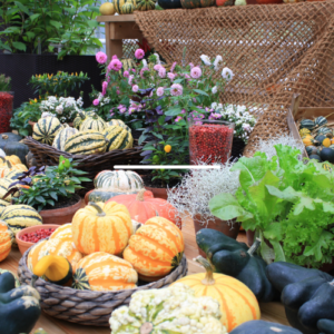 Malvern Autumn Show
