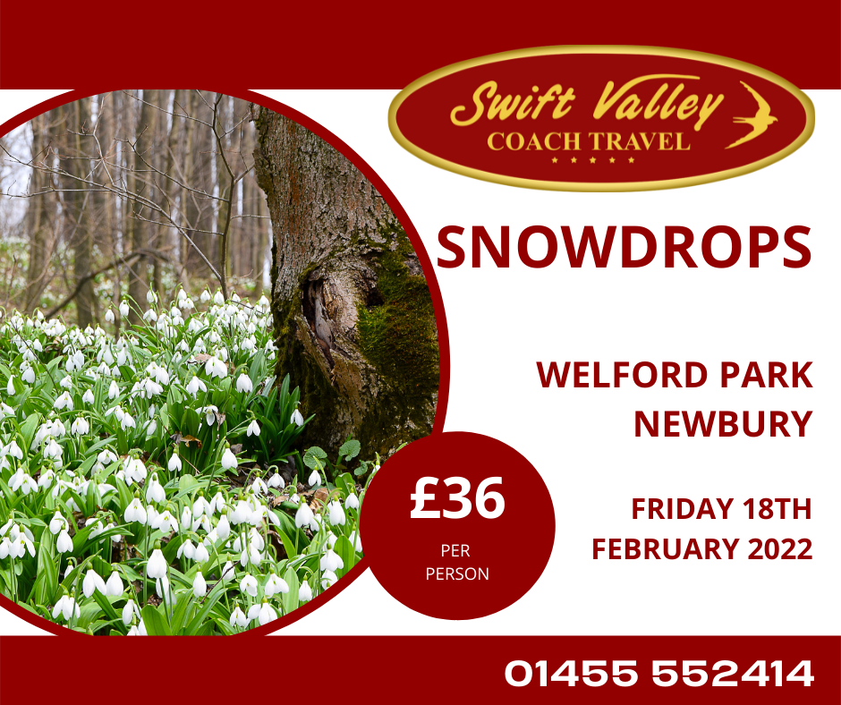 Snowdrops Fb