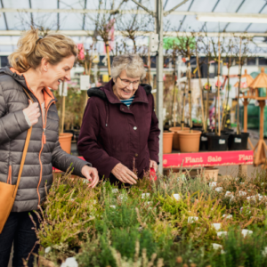Moreton in Marsh Garden Centre 2024