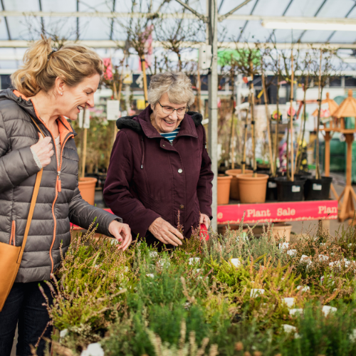 Moreton in Marsh Garden Centre 2024