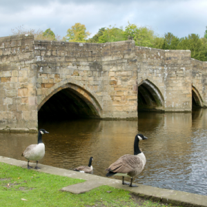 Bakewell Christmas Market - Free to Explore