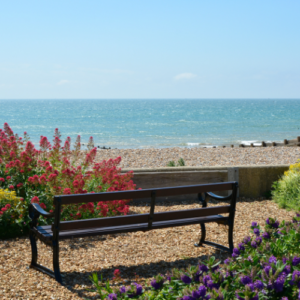 South Downs & Coast