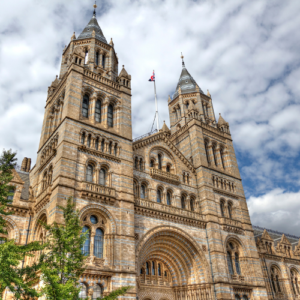 Natural History Museum London 2025