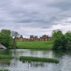 Blenheim Palace (BLE1505A)