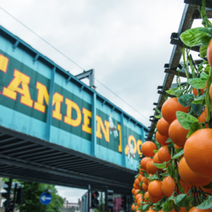 Camden Market - Free to Explore (CAM2806A)