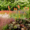 RHS Wisley (WIS2805A) - Image 2
