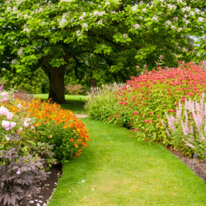 RHS Wisley (WIS2805A)