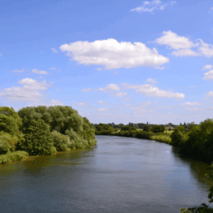 Windsor Cruise with Lunch (WIN040925A)