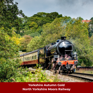 Yorkshire Autumn Gold