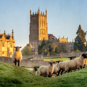 A Day in the Cotswolds - Chipping Campden & Winchcombe
