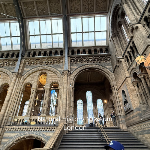 London Museums - Free to Explore - Image 4