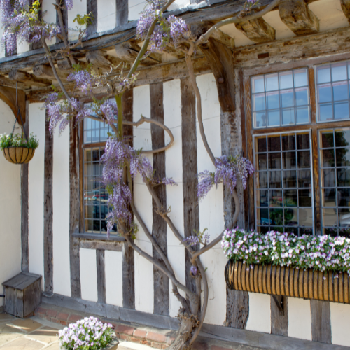 Lavenham - Free to Explore - Image 5