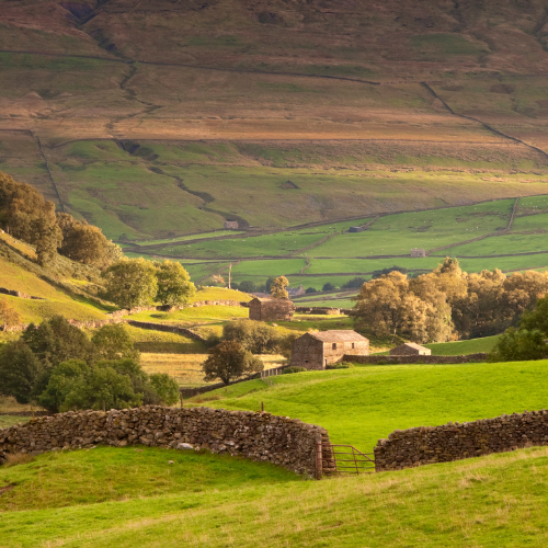World of James Herriot & Thirsk