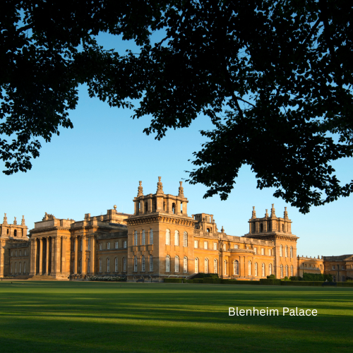 Blenheim Palace Christmas Market & Light Trail - Image 6