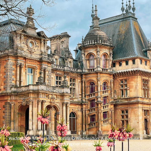 Standing with Giants at Waddesdon Manor - Image 2