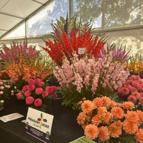 RHS Malvern Spring Festival - Image 5