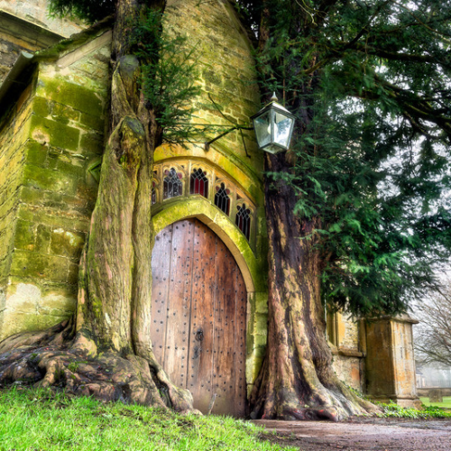 Colesbourne Gardens Snowdrop Tour 2027 & Stow on the Wold - Image 6